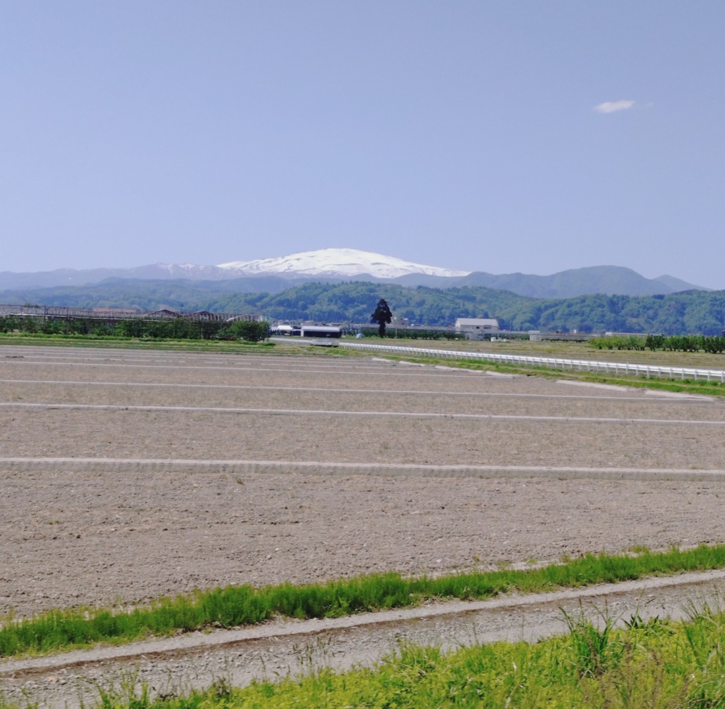 たんぼと月山