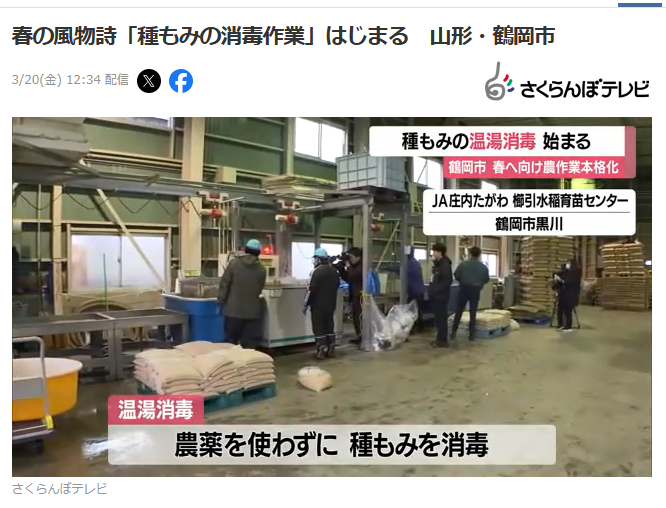 種もみ消毒作業～さくらんぼテレビ引用