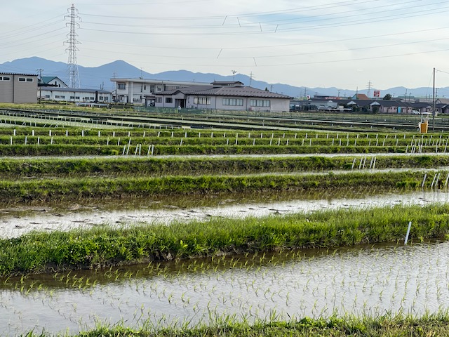 農業総合研究センター水田農業研究所 in鶴岡