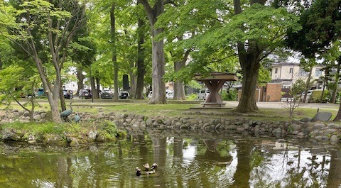 薬師公園