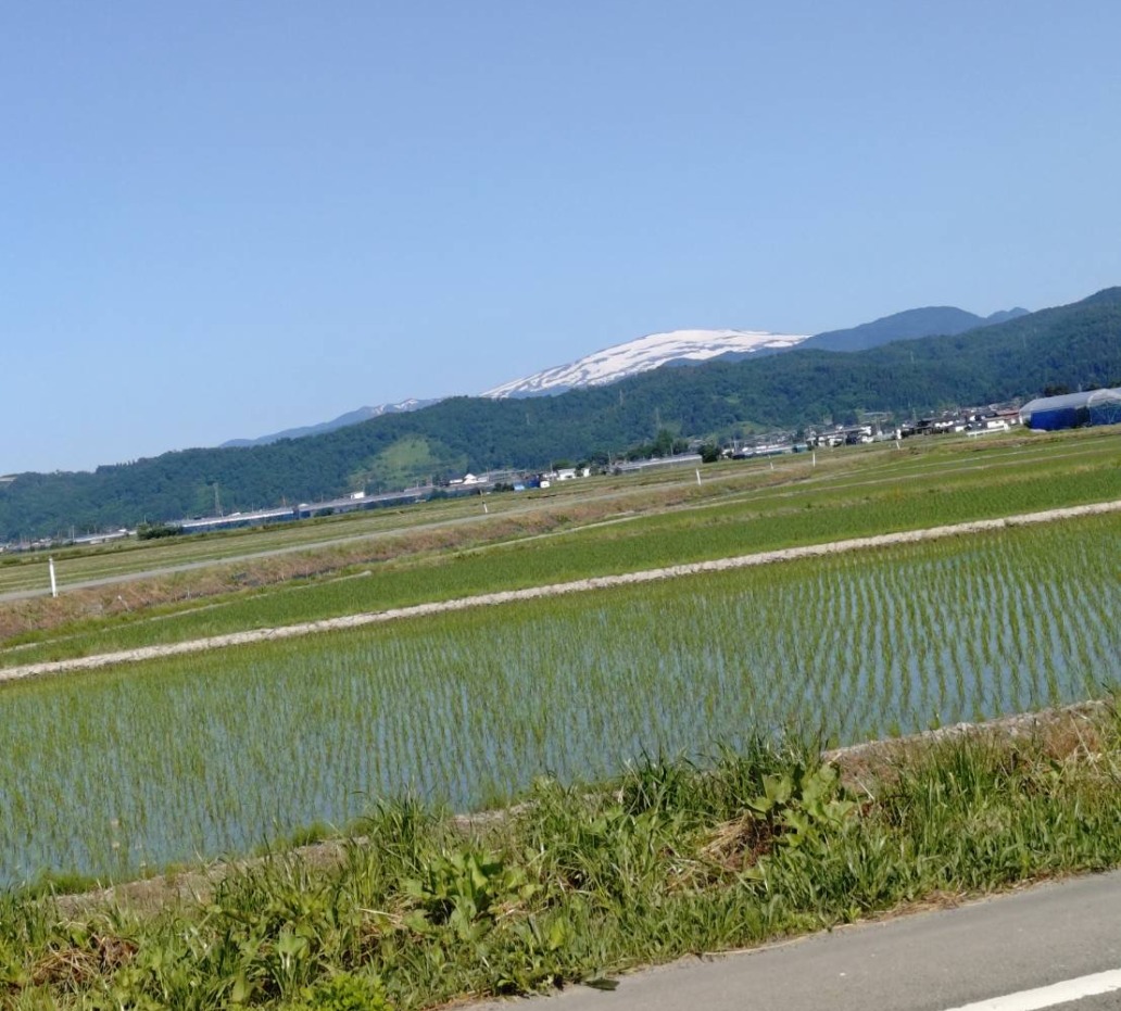 月山と田植え_2025年6月