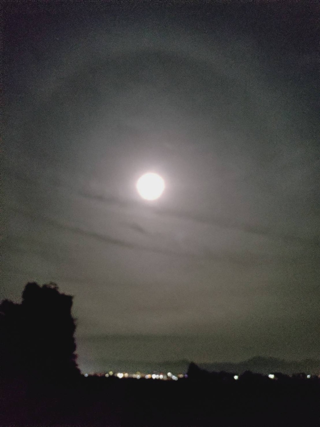 スーパームーン（ビーバームーン）_11月７日