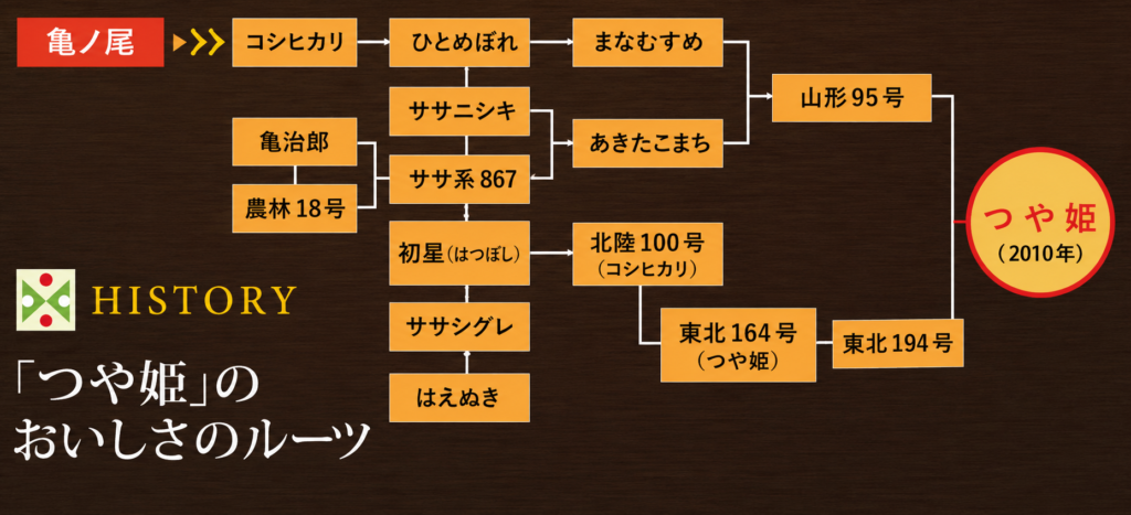 つや姫_系図